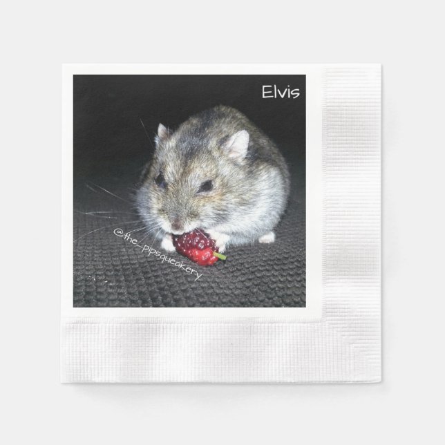 Serviette Jetable Elvis et le Mulberry (Devant)