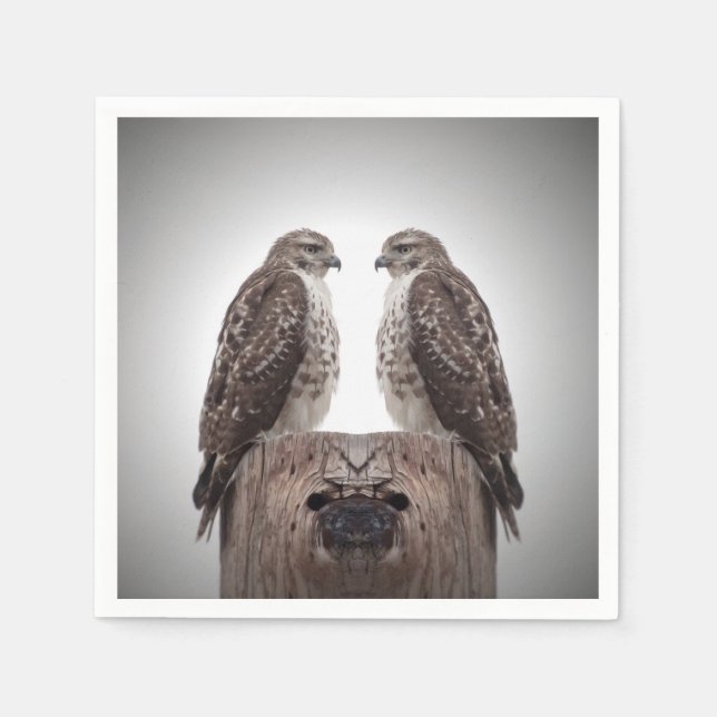 Serviette Jetable Faucons sur un courrier (Devant)