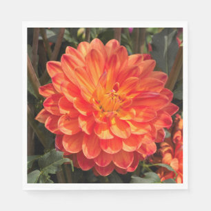 Serviette Jetable Fiery Dahlia