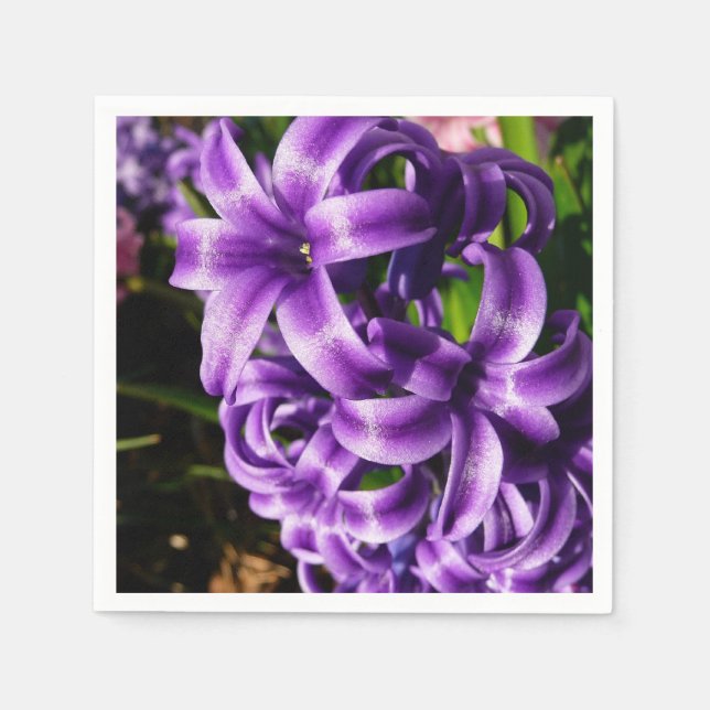 Serviette Jetable Flore de printemps Blue Hyacinth II (Devant)