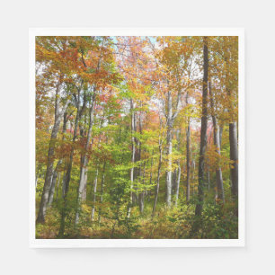 Serviette Jetable Forêt d'automne I Photographie de paysage automnal