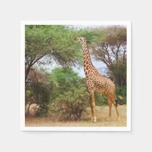 Serviette Jetable Girafe Masaï