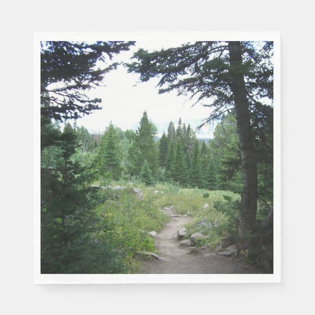 Serviette Jetable Grand Teton Trail (Devant)