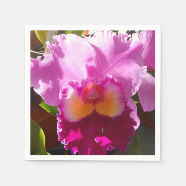 Serviette Jetable Harlinde (Devant)