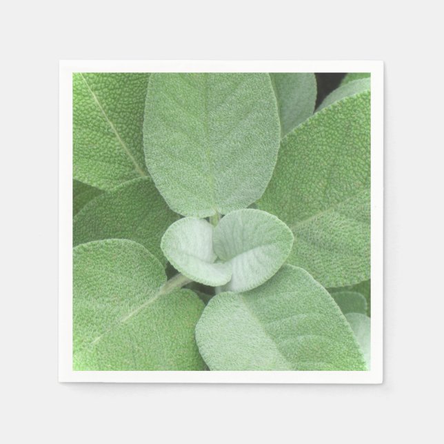 Serviette Jetable Herbal Napkin (Devant)