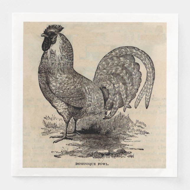 Serviette Jetable imprimé du 19e siècle dominique fowl (Devant)