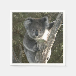 Serviette Jetable Koala mignon grimpant à un arbre