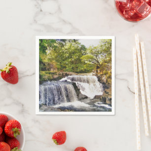 SERVIETTE JETABLE LES CHUTES D'EAU