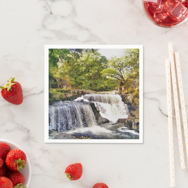 SERVIETTE JETABLE LES CHUTES D'EAU (En situation)