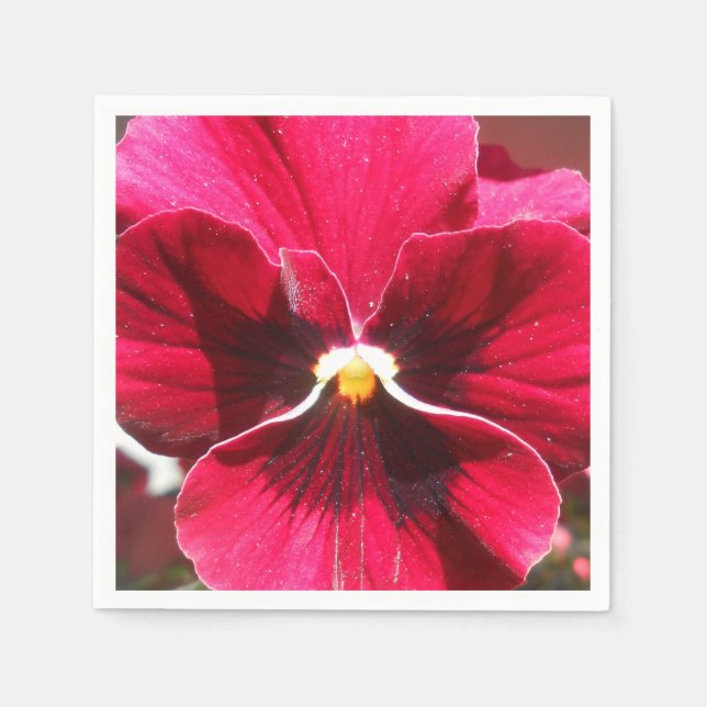 Serviette Jetable Lucrezia (Devant)