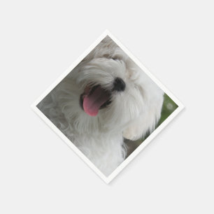 Serviette Jetable maltese-2