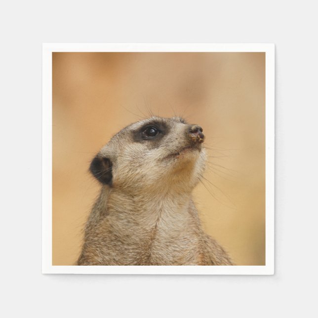 Serviette Jetable Meerkat20151002 (Devant)