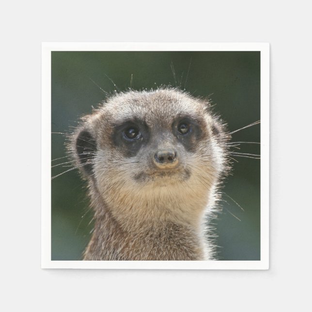 Serviette Jetable Meerkat-Portrait 006 (Devant)