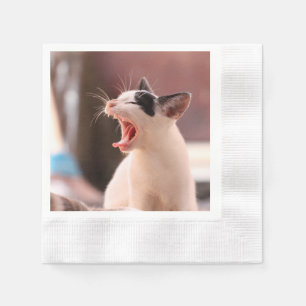 Serviette Jetable Merveilleux chat dangereux