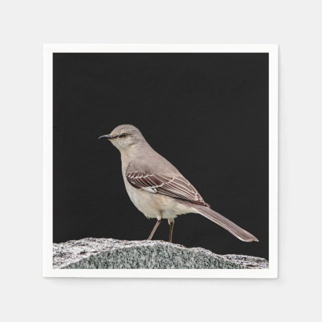 Serviette Jetable Mockingbird sur une pierre tombale (Devant)