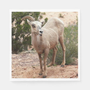 Serviette Jetable Mouflons drôles à Zion National Park