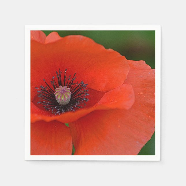 Serviette Jetable Napkin rouge (Devant)