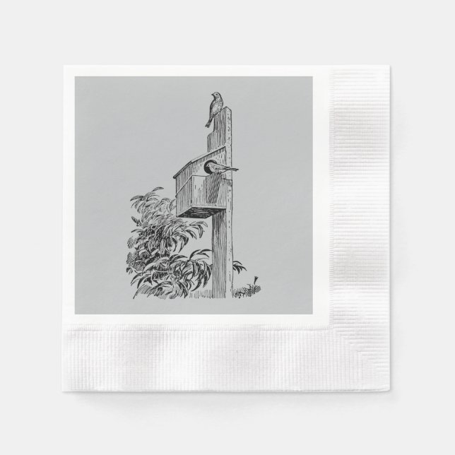Serviette Jetable Oiseaux vintages et Argent Birdhouse (Devant)