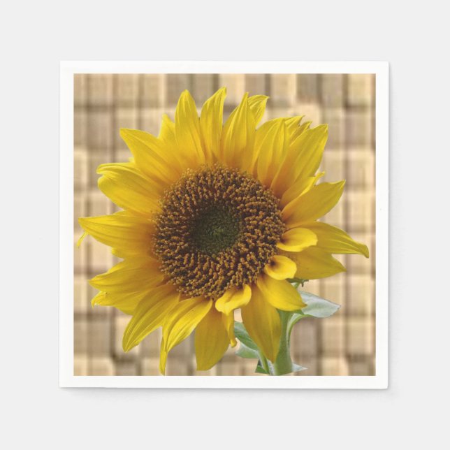 Serviette Jetable Papier (Devant)