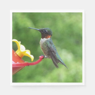 Serviette Jetable Photographie d'oiseau de colibri à gorge rubis