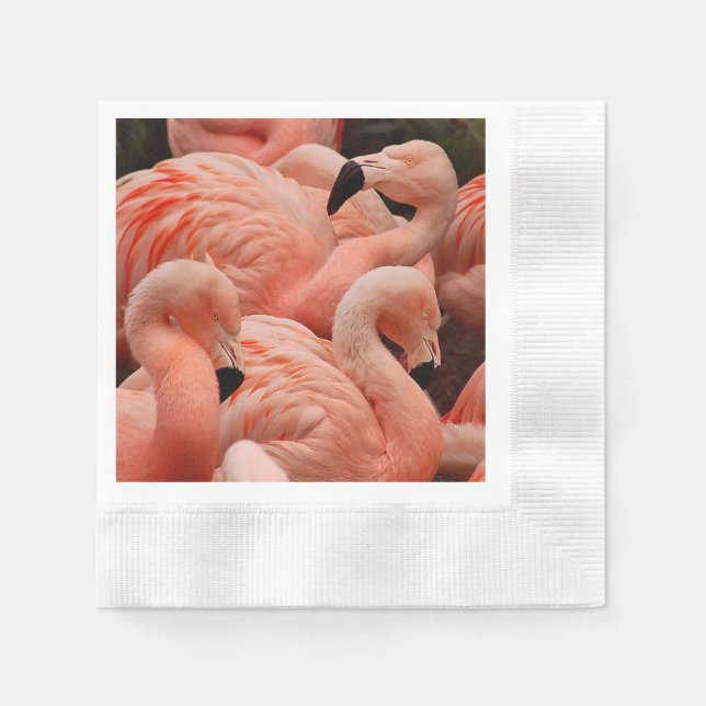Serviette Jetable Pink flamingos (Devant)