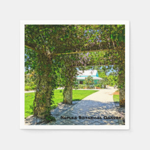 Serviette Jetable Queen's Wreath Naples Jardin botanique, Floride