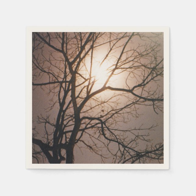 Serviette Jetable Rêve lunaire (Devant)