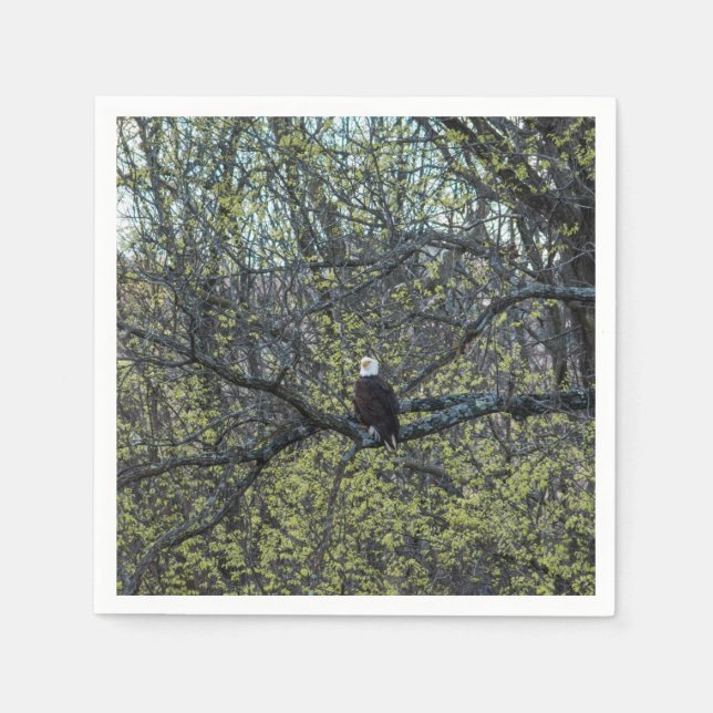 Serviette Jetable Sensibilisation aux aigles (Devant)