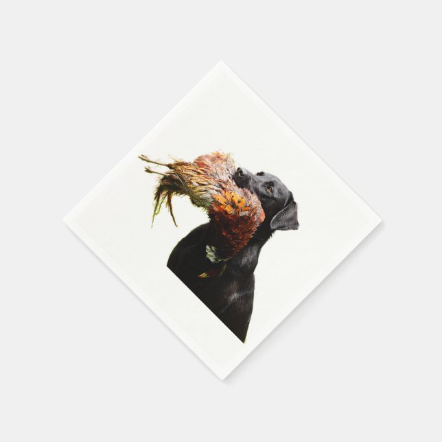 Serviette Jetable Serviettes de chasse aux oiseaux (Coin)