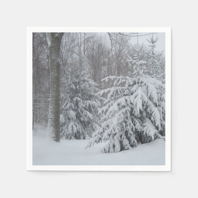 Serviette Jetable Serviettes Scène de Neige d'Hiver (Devant)