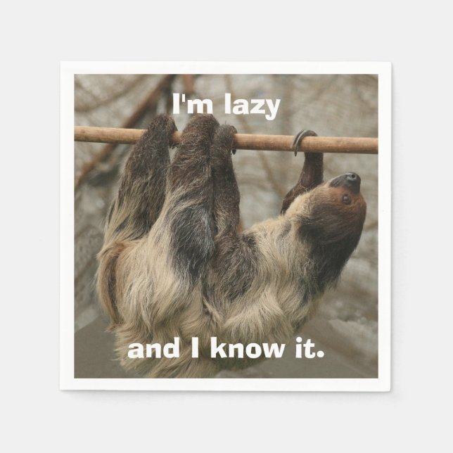 Serviette Jetable Sloth (Devant)