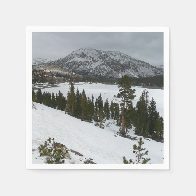 Serviette Jetable Snowy Ellery Lake California Paysage hivernal (Devant)