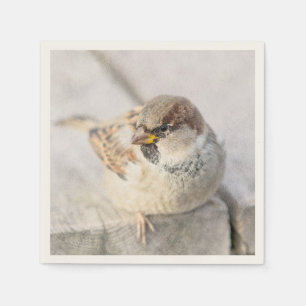 Serviette Jetable Sparrow - Après la transatlantique