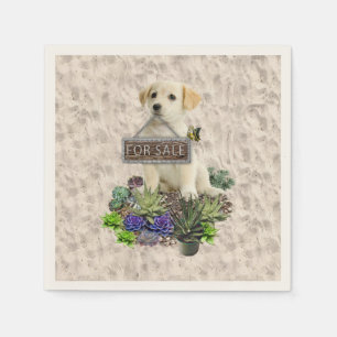 Serviette Jetable Succulents à vendre