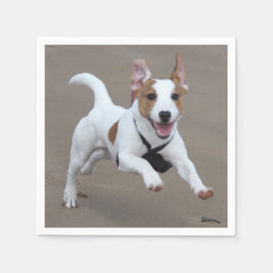 Serviette Jetable Terrier de Jack_Russell courant 2.png