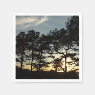 Serviette Jetable Torrey Pine Sunset II Californie Paysage