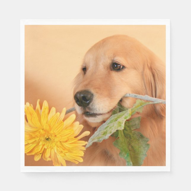 Serviette Jetable Toute Occasion Golden Retriever Chien Avec Fleur (Devant)