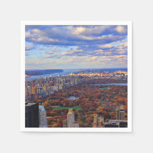 Serviette Jetable Une vue d'en haut : Automne à Central Park 01