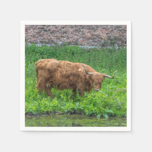 Serviette Jetable Vache des Highlands