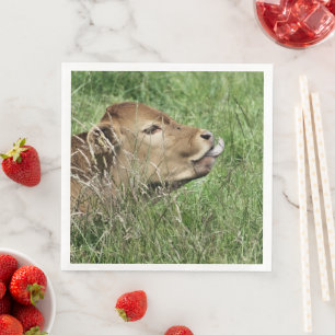 SERVIETTE JETABLE VACHE MIGNONNE