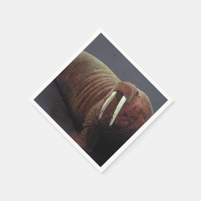 Serviette Jetable Walrus (Coin)