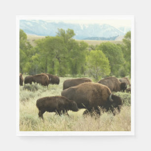 Serviette Jetable Wyoming Bison Nature Animal Photographie