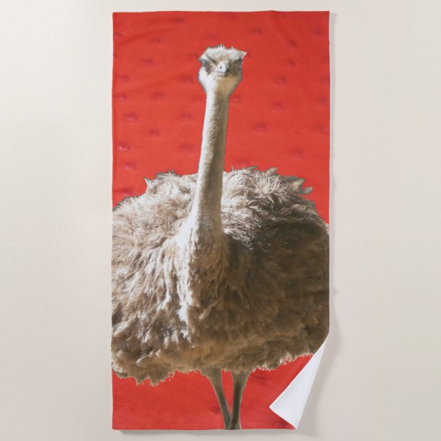 Serviette sud-africaine de plage d'Ostrich (Devant)