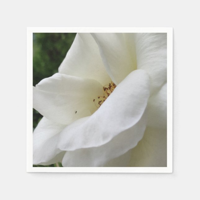 Servietten aus Rosa Blume (Vorderseite)