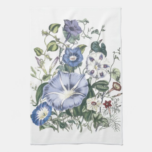 Serviettes de cuisine florales de gloires de matin (Vertical)