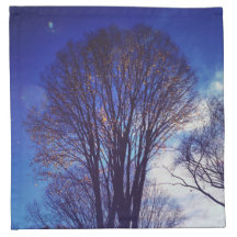 Dusk dans le parc