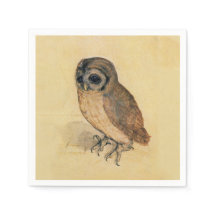 Albrecht Durer La Petite Chouette