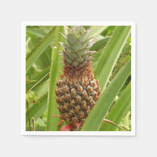 Serviettes En Papier Ananas sauvage Fruit tropical dans la nature (Devant)