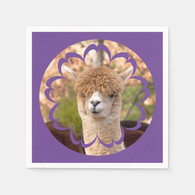 Serviettes En Papier Anniversaire d'Alpaca (Devant)