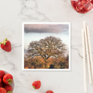 SERVIETTES EN PAPIER ARBRE D'HIVER